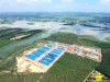 Trang trại heo đầu nguồn - TÀI CHÍNH - CÔNG NGHỆ - DOANH NGHIỆP - VINATHIS NETWORK