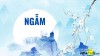 Ngam cho tham - TÀI CHÍNH - CÔNG NGHỆ - DOANH NGHIỆP - VINATHIS NETWORK