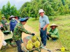 Bau duc gio ra sao - TÀI CHÍNH - CÔNG NGHỆ - DOANH NGHIỆP - VINATHIS NETWORK