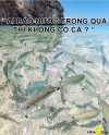 Nuoc trong khong ca - TÀI CHÍNH - CÔNG NGHỆ - DOANH NGHIỆP - VINATHIS NETWORK