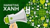 CHIẾN LƯỢC KINH DOANH TIÊU DÙNG XANH: DỊCH CHUYỂN TỪ NHẬN THỨC SANG HÀNH VI TẠI ĐIỂM BÁN VÀ ĐỘNG LỰC THỊ TRƯỜNG NỘI ĐỊA