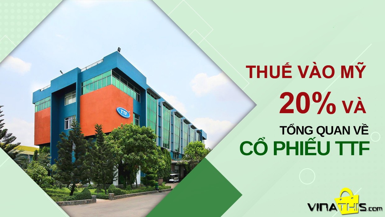 thuế quan vào mỹ 20% và toàn cảnh về TTF